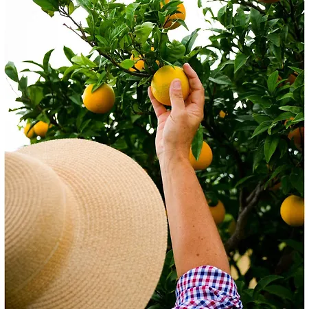 Orto - Agri
