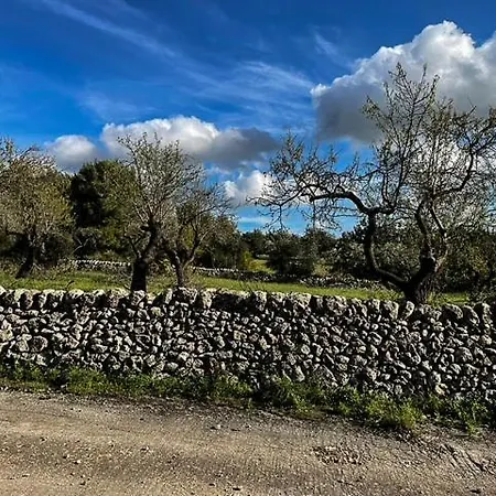 Orto - Agri *